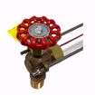 Picture of EN20-250-12RL ELITE 12 INCH REDLINE BOILER GAUGE GLASS KIT ASSEMBLY