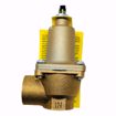 Picture of 174A 3/4 INCH, 40 PSI, 800,000 BTU RELIEF VALVE