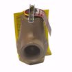 Picture of BOILER PRESSURE RELIEF VALVE; WATTS 0358553 374A