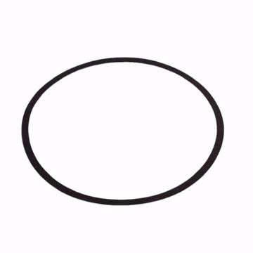 Picture of P80765 BELL & GOSSETT VOLUTE GASKET