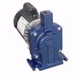 Picture of ELITE EN180001 PUMP AND MOTOR ASSEMBLY 1/3 HP 115/230V 1 PH FOR 180001