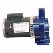 Picture of ELITE EN180001 PUMP AND MOTOR ASSEMBLY 1/3 HP 115/230V 1 PH FOR 180001