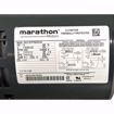 Picture of ELITE EN180001 PUMP AND MOTOR ASSEMBLY 1/3 HP 115/230V 1 PH FOR 180001