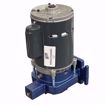 Picture of ELITE EN180001 PUMP AND MOTOR ASSEMBLY 1/3 HP 115/230V 1 PH FOR 180001