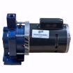 Picture of ELITE EN180001 PUMP AND MOTOR ASSEMBLY 1/3 HP 115/230V 1 PH FOR 180001