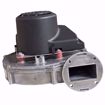 Picture of FAN 120V