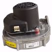 Picture of FAN 120V