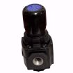 Picture of 3/8REG 300#MAX IN 0/50#OUT