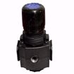 Picture of 3/8REG 300#MAX IN 0/50#OUT
