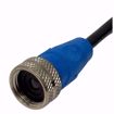 Picture of UV1A12 FIREYE NON-SELF CHECK ULTRA-VIOLET FLAME SCANNER WITH 12 FT. LEADS