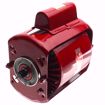 Picture of 111034 Bell & Gossett 111034 1/12 HP, 1725 RPM, 115V 1 PH Motor For 100 Series Pumps