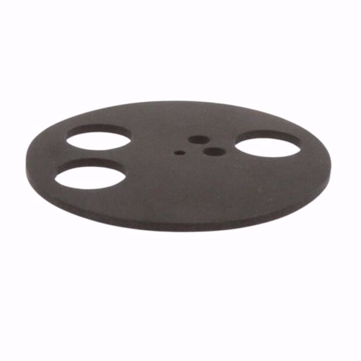 Picture of 2598714 GASKET ROUND DRAIN CANAL