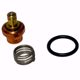 Picture of WATTS LFL70ARK-REPAIR KIT 1/2 - 3/4