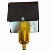 Picture of FS4-3_1" NPT, SPDT Switch, General Purpose Liquid Flow Switch for up to 160 PSI Max Pressure with 1", 2", 3", and 6" Stainless Steel Paddles (Part Number 114400)