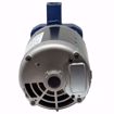Picture of EN180025 ELITE PUMP AND MOTOR ASSEMBLY 1/3 HP 208-230V/460V 3 PHASE