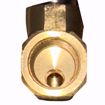 Picture of FIROMATIC B100HCV 3/8 (FNTP) X 3/8 (FNTP) CHECK VALVE