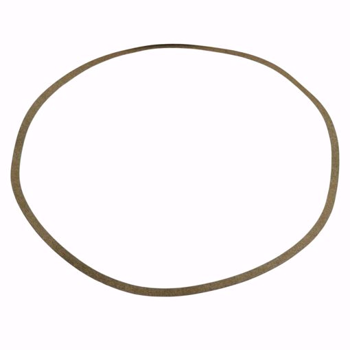 Picture of P80758 BELL & GOSSETT   VOLUTE GASKET