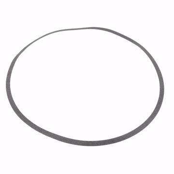Picture of P80752 BELL & GOSSETT VOLUTE GASKET