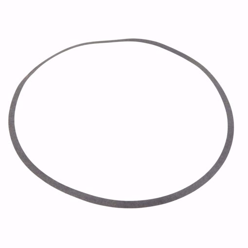 Picture of P80752 BELL & GOSSETT VOLUTE GASKET