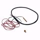 Picture of 100113136 A.O. SMITH   K,UPPER/LOWER TANK TEMP SENSOR, OLD # 9008853005