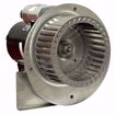 Picture of 46234900 FIELD CONTROLS  SWG-5 RMK 5 STAINLESS STEEL REPLACEMENT MOTOR KI