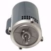 Picture of 3/4 HP 3450 RPM 56C FRAME 115/230V 1PH MOTOR