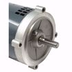 Picture of 3/4 HP 3450 RPM 56C FRAME 115/230V 1PH MOTOR