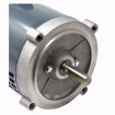 Picture of O217  MARS 1 HP 3450 RPM 56C 1/60/115/208-230 MOTOR