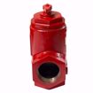 Picture of BELL & GOSSETT SA 1 1/2 1-1/2 NPT FLO-CONTROL V