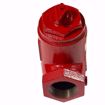 Picture of BELL & GOSSETT SA 1 1/2 1-1/2 NPT FLO-CONTROL V