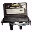 Picture of CARLIN CONSTANT DUTY IGNITOR / BASE CARLIN (601CRD 701CRD 70