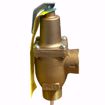 Picture of WATTS 1 40XL 150# 210