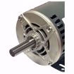 Picture of 09801 TRANE 3 HP 208-230/460V 1740 RPM MOTOR