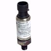 Picture of P499AAP-105C JOHNSON  PRESSURE TRANS 0-500 PSIG; 4-20 MA OUTPUT SIGNAL 1/8 NPTF EX