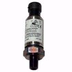 Picture of P499AAP-105C JOHNSON  PRESSURE TRANS 0-500 PSIG; 4-20 MA OUTPUT SIGNAL 1/8 NPTF EX