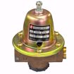 Picture of 110199LF B&G #8 DUAL UNIT VALVE REDUCING VALVE