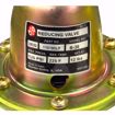 Picture of 110199LF B&G #8 DUAL UNIT VALVE REDUCING VALVE