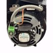 Picture of BPW601 BECKETT SDC 12VDC BURNER