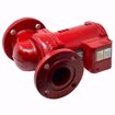 Picture of 1BL034 BELL & GOSSETT PL-75 IRON BODY CIRCULATOR 2" (LESS FLANGES) 1/6 HP
