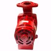 Picture of 1BL016 BELL & GOSSETT PL-50 IRON BODY CIRCULATOR FLANG