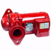 Picture of 1BL016 BELL & GOSSETT PL-50 IRON BODY CIRCULATOR FLANG