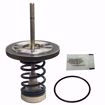 Picture of 0794098 WATTS 6 INCH LFRK909CK1 FIRST CHECK KIT LEAD FREE