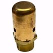 Picture of 401446 HOFFMAN #62 STEAM VACUUM BREAKER 3/4 NPT MAX 150 PSIG