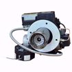 Picture of 21417 BOCK CARLIN 9833111J72EEZ2 OIL BURNER