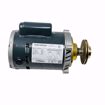 Picture of EN180004 ELITE REPLACEMENT HOFFMAN PUMP & MOTOR ASSEMBLY 180004