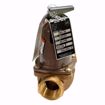 Picture of 110121 BELL & GOSSETT 790-30 3/4 ASME RELIEF VALVE SET