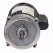 Picture of O210 MARATHON 1/3 HP 3450 RPM 56C 115/230V MOTOR