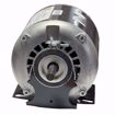 Picture of 8000 U.S. MOTORS 1/4HP,1725 RPM,115V,MOTOR